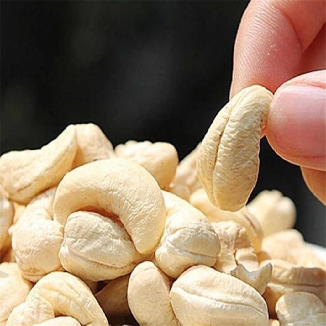 Best Premium-Grade and Dried Style Dried Style and Blanched Processing Type Cashew Cashew Nuts Cashew Kernels