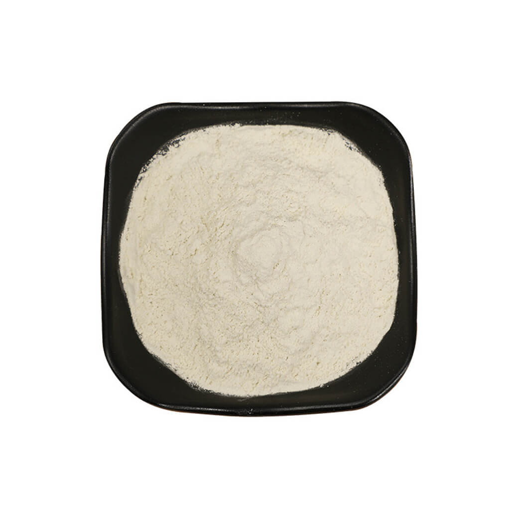 Food Grade Wholesale White 100% Organic Natural Dehydrated Onion Powder