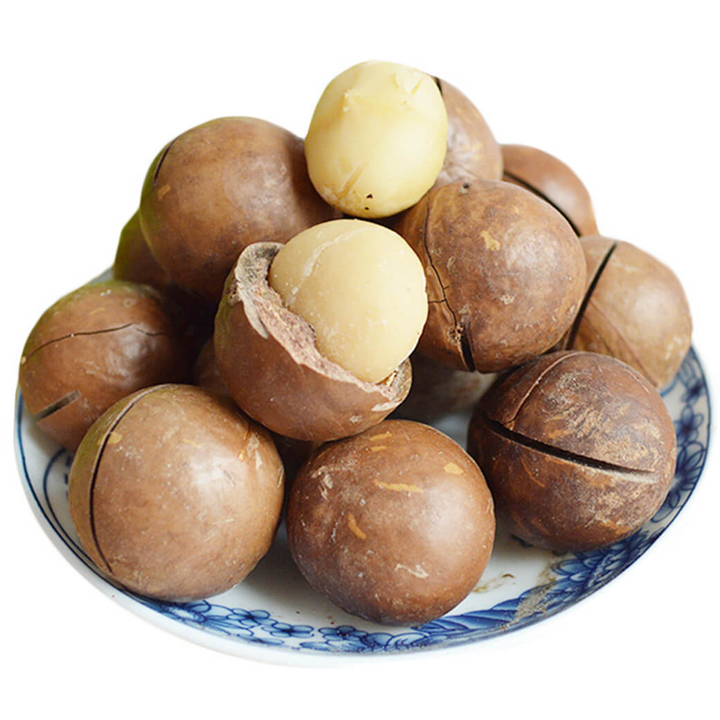 High Quality 100% Organic Macadamia Nuts Seeds Roasted In Shell Raw Macadamia Nuts