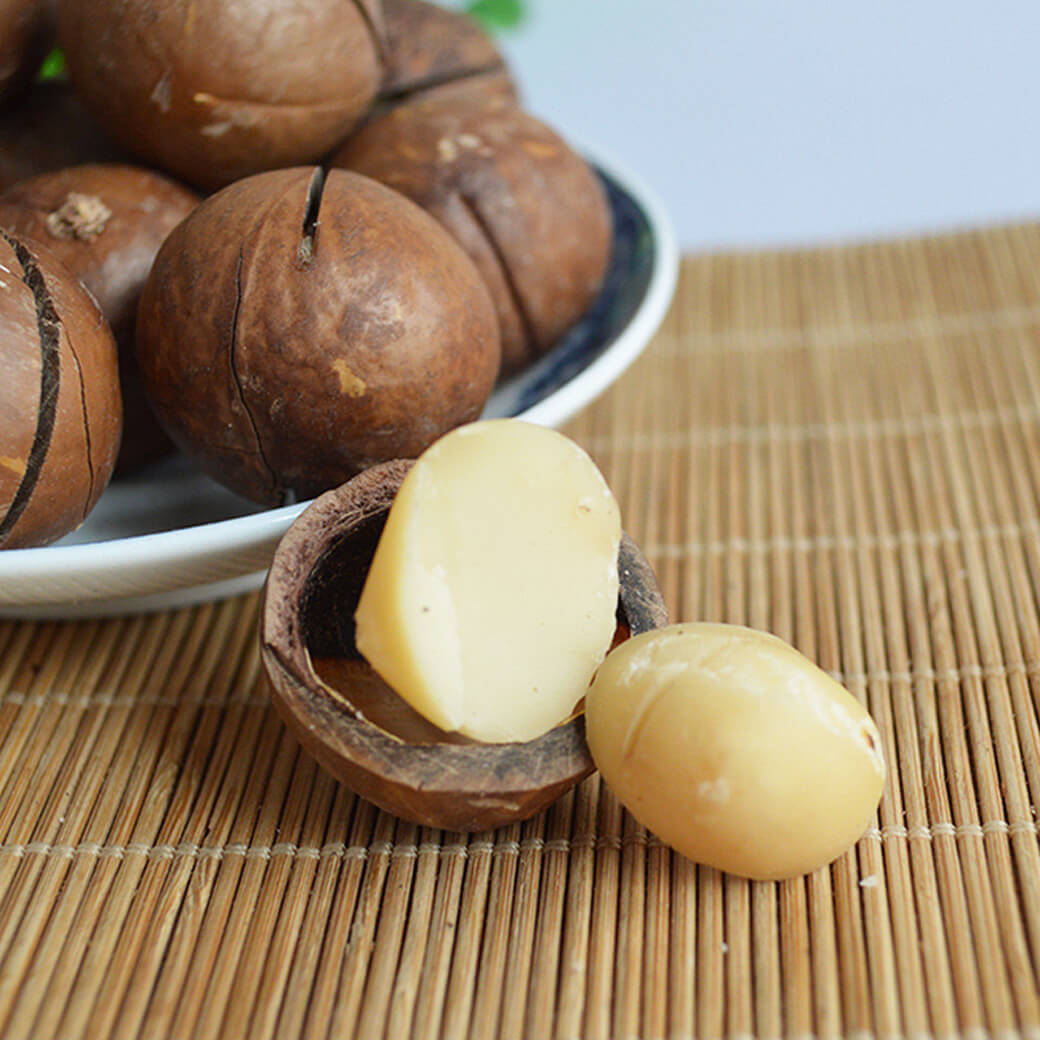 High Quality 100% Organic Macadamia Nuts Seeds Roasted In Shell Raw Macadamia Nuts