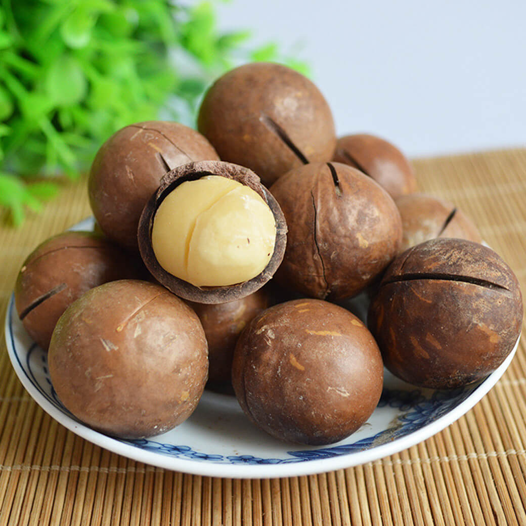 High Quality 100% Organic Macadamia Nuts Seeds Roasted In Shell Raw Macadamia Nuts