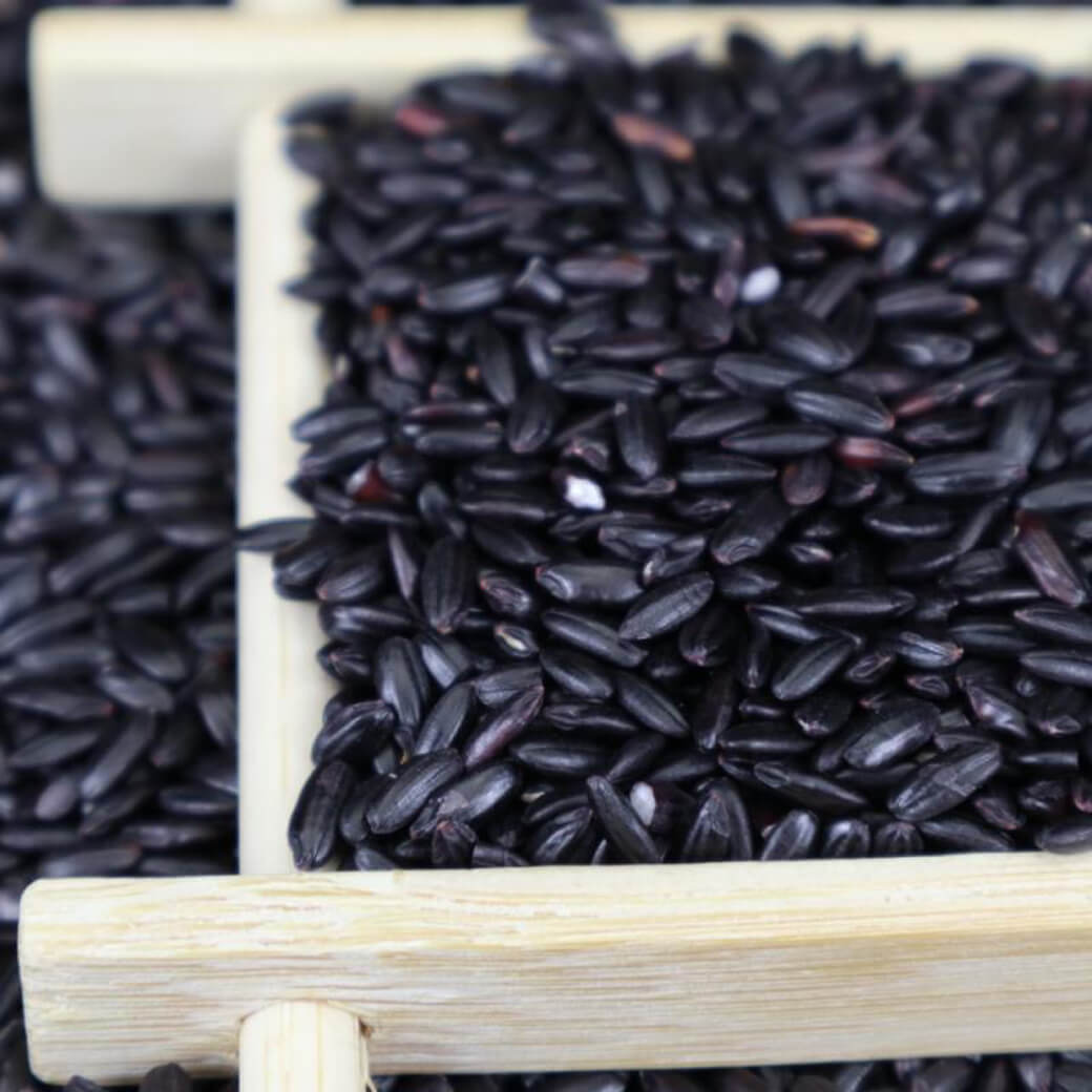 High Quality Soil Green Food Rich Nutrition Organic Black Rice