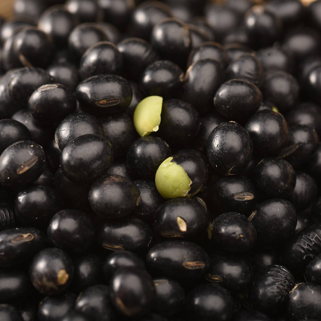 Naturally Grown Black Soybean Green Kernel Organic Certified Black Bean