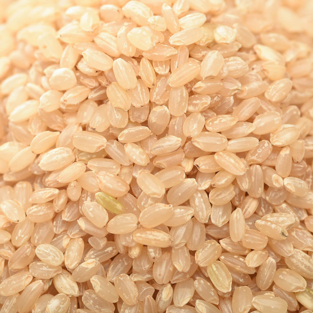 Wholesale Best Organic Nature's Own Brown Rice Powder Bulk Brown Rice Syrup