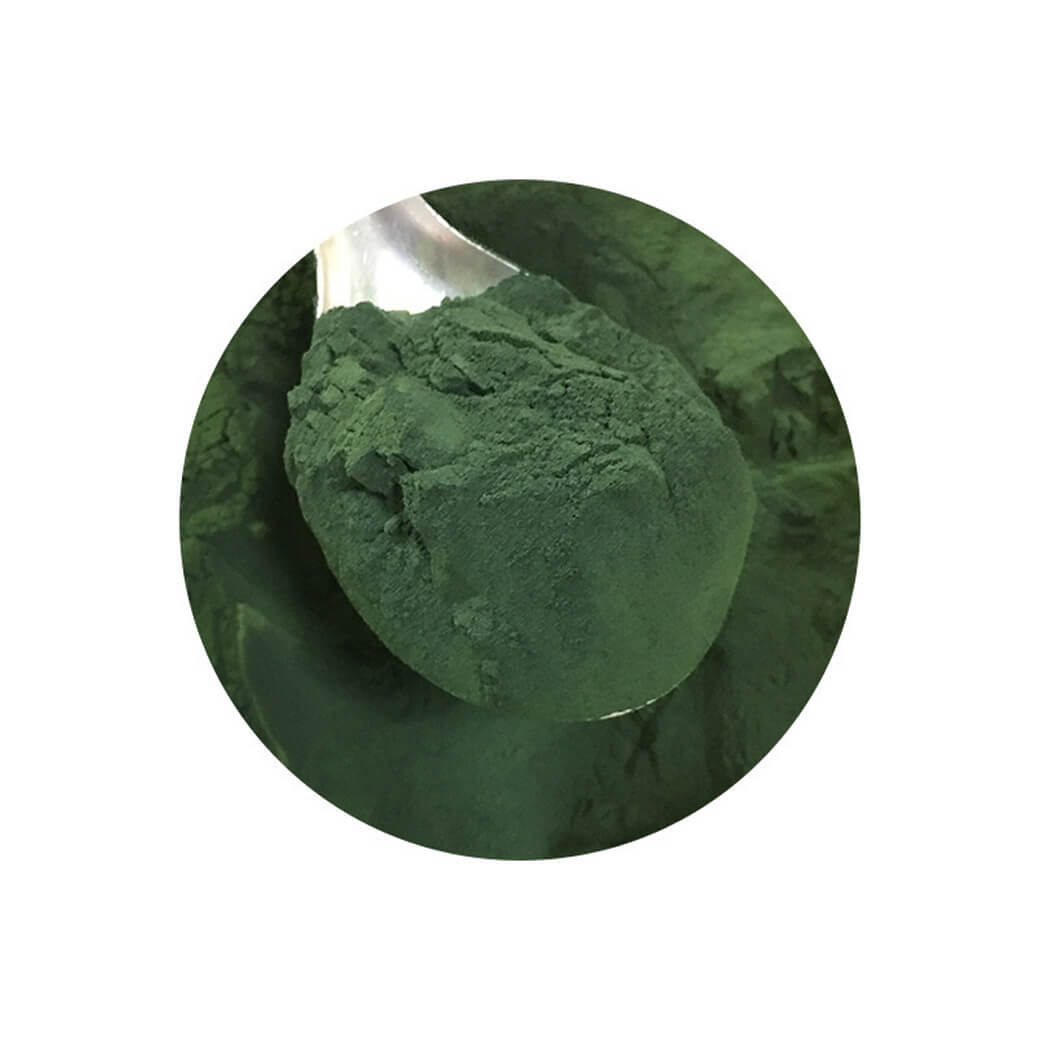 Wholesale Bulk Green Spirulina Extract Powder Organic Spirulina Powder