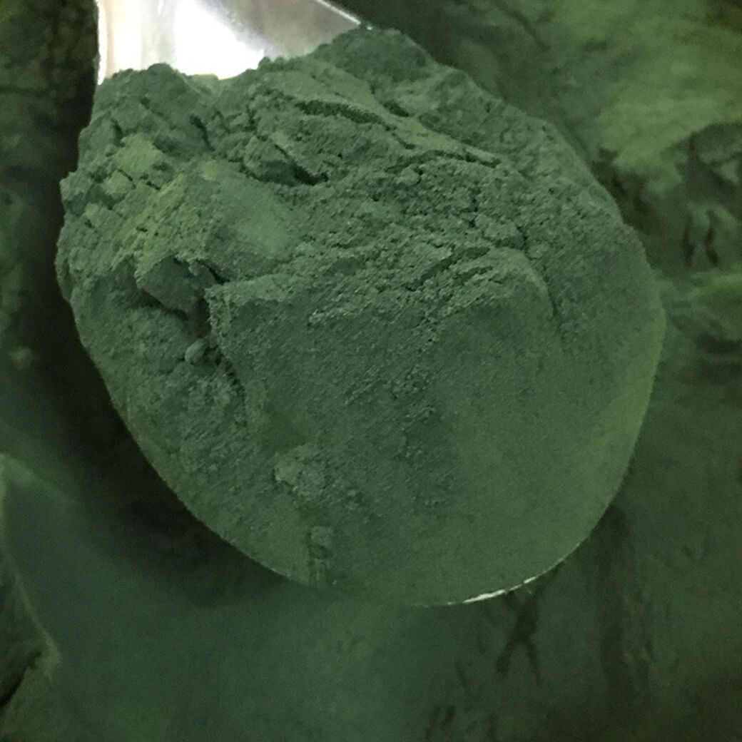 Wholesale Bulk Green Spirulina Extract Powder Organic Spirulina Powder