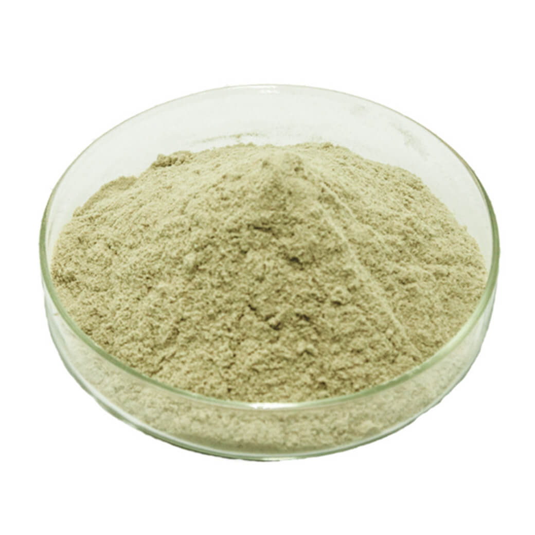 Wholesale Food Grade 98% Natural Kaempferol Extract Powder