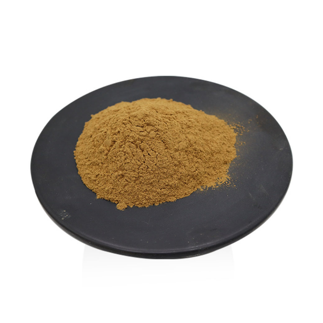 Wholesale High Quality 100% Natural Organic Phyllanthus Emblica Extract Powder