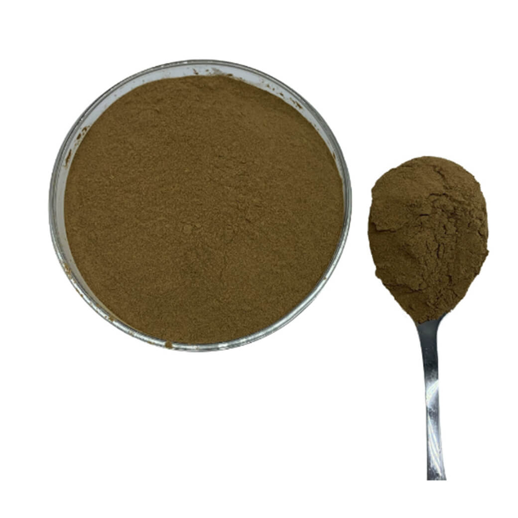 Wholesale High Quality 100% Natural Organic Phyllanthus Emblica Extract Powder