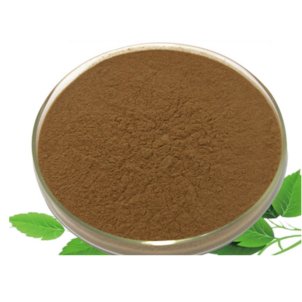 Wholesale High Quality 100% Natural Organic Phyllanthus Emblica Extract Powder