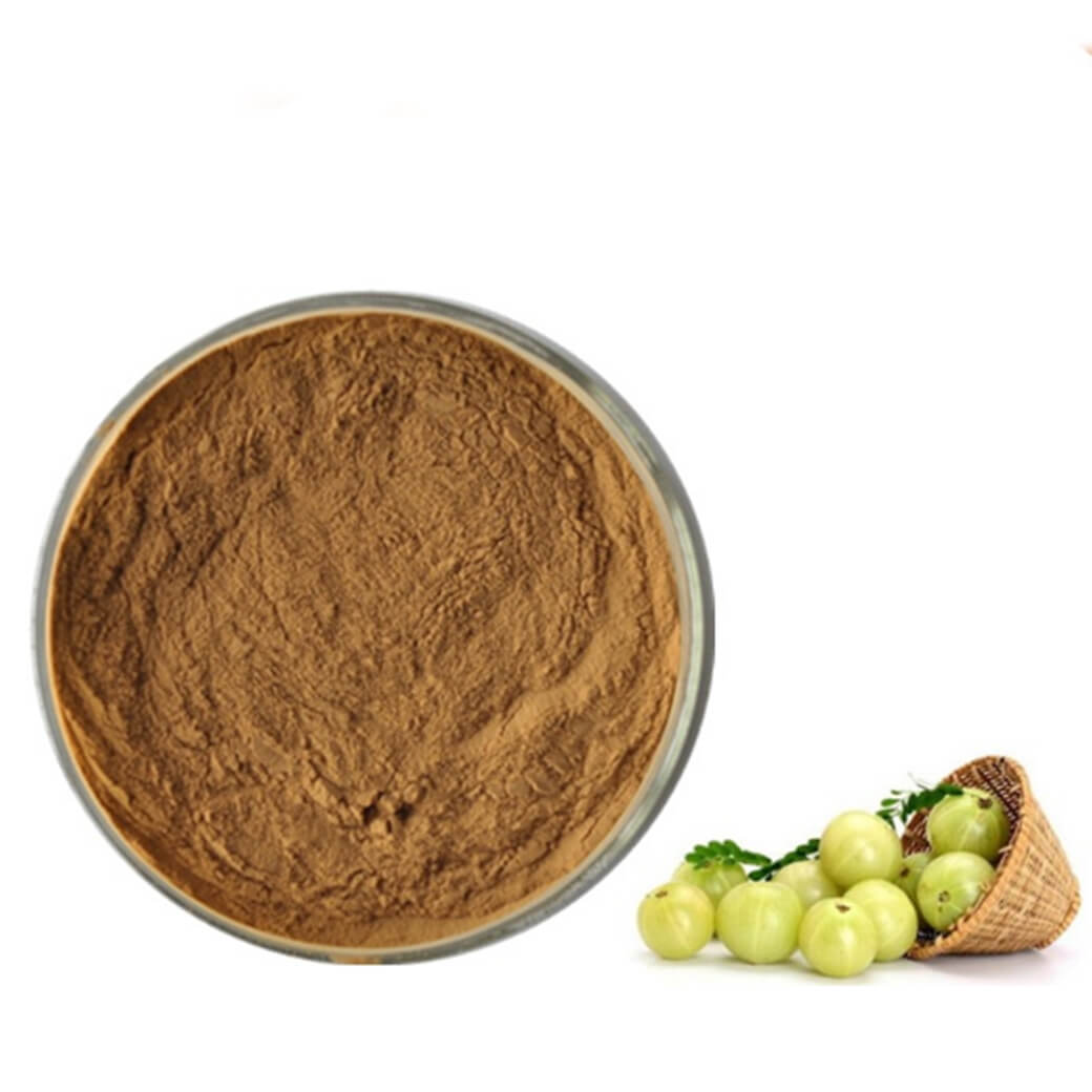 Wholesale High Quality 100% Natural Organic Phyllanthus Emblica Extract Powder