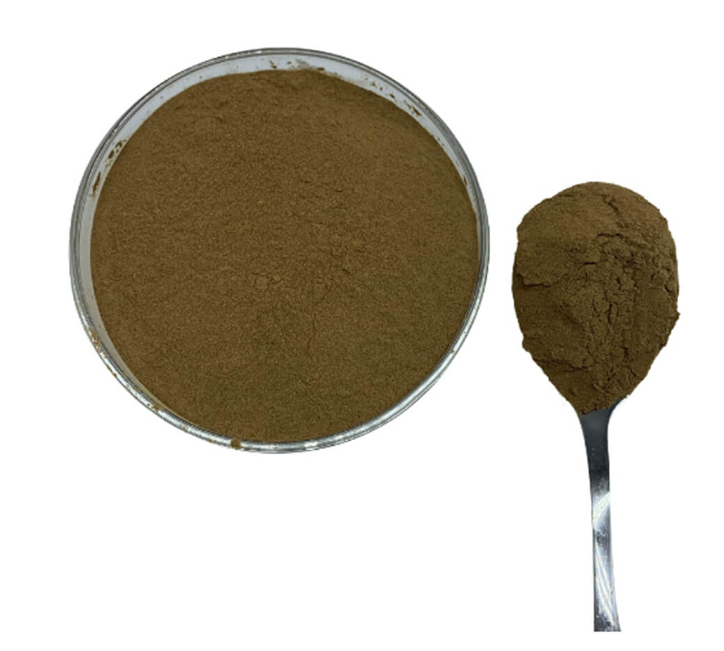 Wholesale High Quality 100% Natural Organic Phyllanthus Emblica Extract Powder