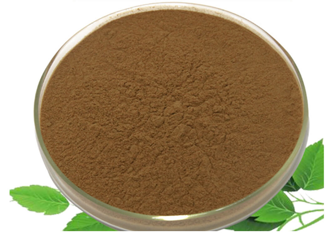 Wholesale High Quality 100% Natural Organic Phyllanthus Emblica Extract Powder