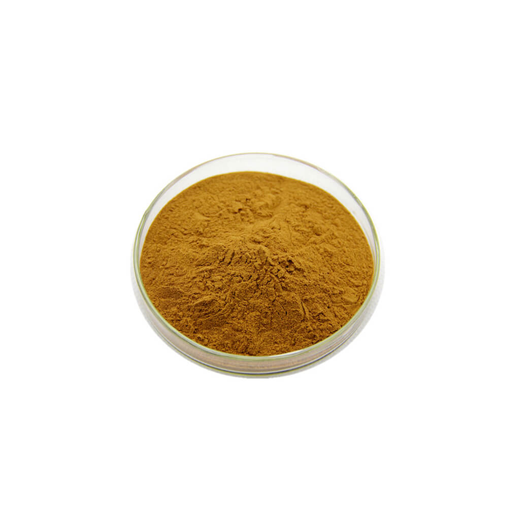 Wholesale Prices Food Grade 100% Organic Lotus Seed Extract Powder